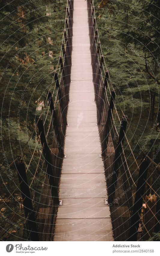 Hängende Brücke zwischen Bäumen in Nadelwäldern. erhängen Baum Design Wald Abenteuer Konstruktion über der Erde Park Suspension grün Sport wandern Treppe Natur