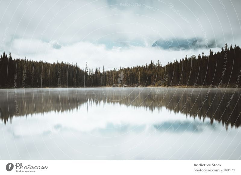 Jasper Icefields, Kolumbien, Kanada Wildnis Banff National Park See Kanadier Panorama (Bildformat) Alberta Natur Landschaft Eisfeld blau Gletscher Außenaufnahme