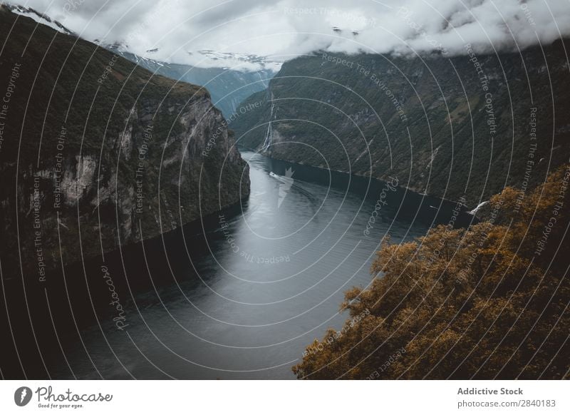 Geirange Fjord, Norwegen Geiranger grün Landschaft Geirangerfjord Beautyfotografie Menschenleer Tourismus Tag Kreuzfahrt Ferien & Urlaub & Reisen schön Sommer