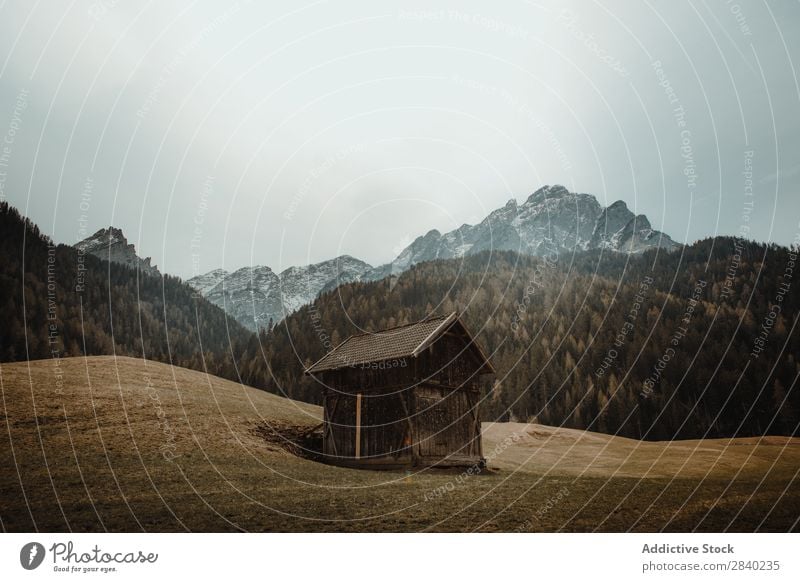 Hütte auf der Ebene in den Bergen Haus Verlassen Berge u. Gebirge Gutshaus Natur malerisch Landschaft Schottisches Hochlandrind ruhig Außenseite Wald