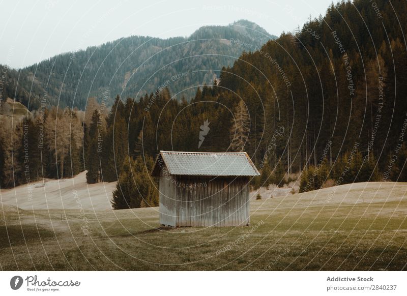 Hütten auf der Ebene in den Bergen Haus Verlassen Berge u. Gebirge Gutshaus Natur malerisch Landschaft Schottisches Hochlandrind ruhig Außenseite Wald