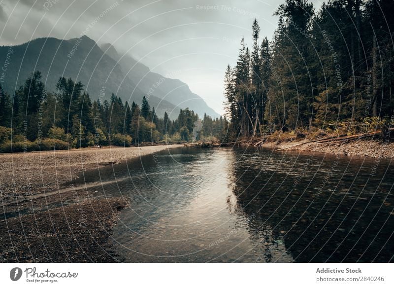 Wasser- und Bergstrom Landschaft Berge u. Gebirge strömen Nebel Natur Ferien & Urlaub & Reisen Panorama (Bildformat) Gipfel Reichweite Fluss Umwelt Freiheit