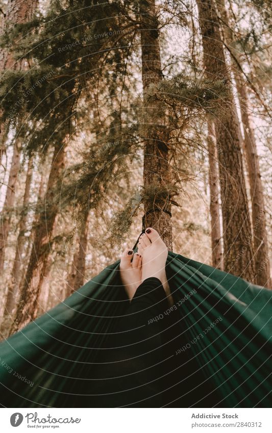 Weibliche Füße in der Hängematte Frau Wald Erholung Frieden Tourismus Morgen Freiheit Idylle aussruhen lügen nadelhaltig Baum genießend Fuß ruhig