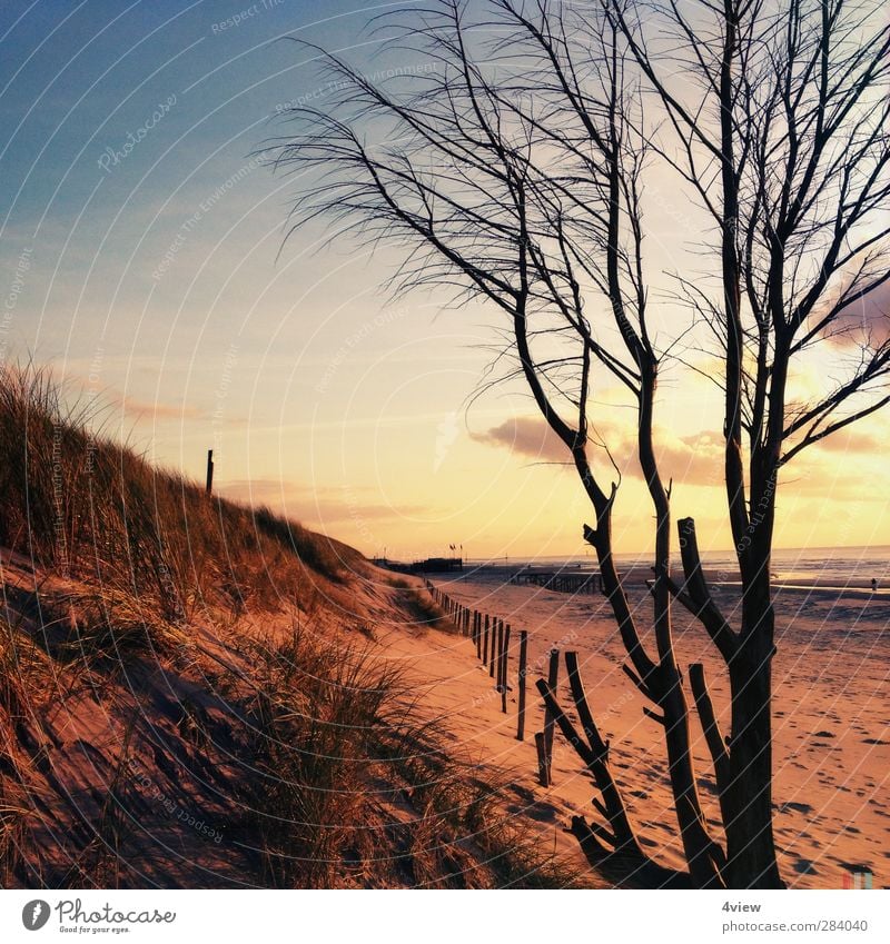 Sint Maartenszee Ferien & Urlaub & Reisen Ausflug Strand Meer Wellen Sand Wasser Himmel Wolken Horizont Sonnenaufgang Sonnenuntergang Sonnenlicht Baum Sträucher