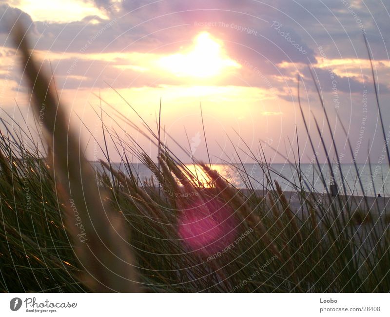 sommmer sonne sonnenschein Sonnenuntergang Niederlande Strand Meer See Stranddüne Sunflare Nordsee Banjaard Camperland