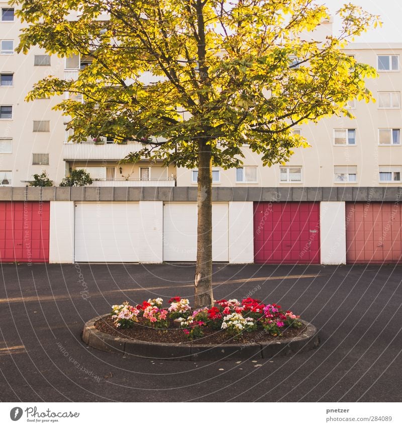 Insel Haus Garten Umwelt Schönes Wetter Baum Blume Stadt Stadtzentrum bevölkert Hochhaus Park Platz Parkhaus Architektur Fassade Fenster Verkehr Straße Gefühle