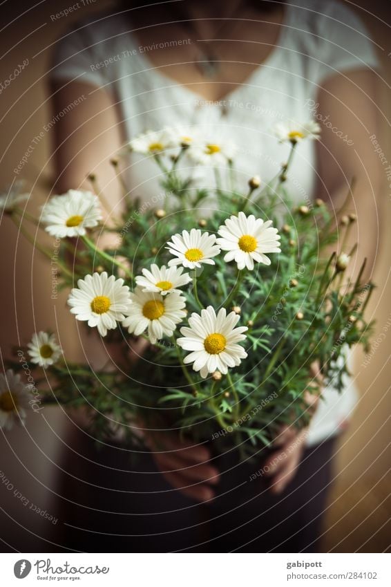 weiblich | Freundschaft feminin Frau Erwachsene Körper 1 Mensch Blume Margerite Freundlichkeit Fröhlichkeit weich braun gelb grün Freude Glück Lebensfreude