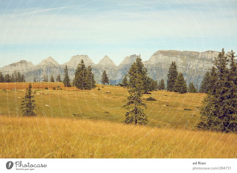 hinter dem Horizont. Ferne Freiheit Berge u. Gebirge wandern Natur Landschaft Himmel Herbst Schönes Wetter Pflanze Baum Gras Sträucher Feld Wald Hügel Alpen