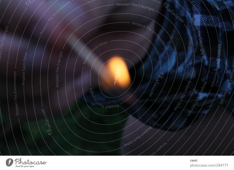 Man sieht nur das auf was man zoomt. Haut Angeln Freiheit Camping Sommer Lampe Strandbar Feste & Feiern Flirten wandern Kindheit Jugendliche Arme Hand Finger 1