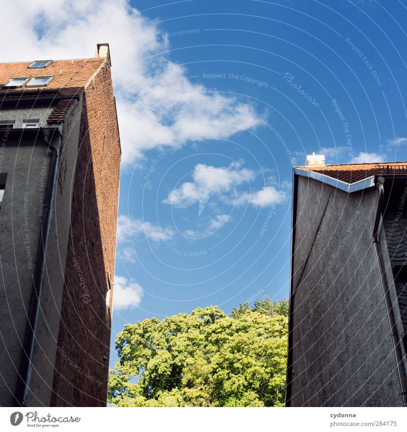 Lebensraum Lifestyle Häusliches Leben Umwelt Himmel Baum Stadt Haus Architektur Fassade ästhetisch Partnerschaft Einsamkeit Freiheit bedrohlich Hoffnung