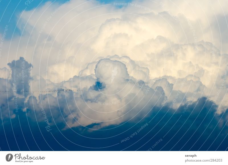 Wolkenbild Himmel liberty Lichterscheinung Tapete Kumulus Wind Regenwolken Wetter congestus water steam Meteorologie weich Kumulunimbus zyan Natur Umwelt luftig