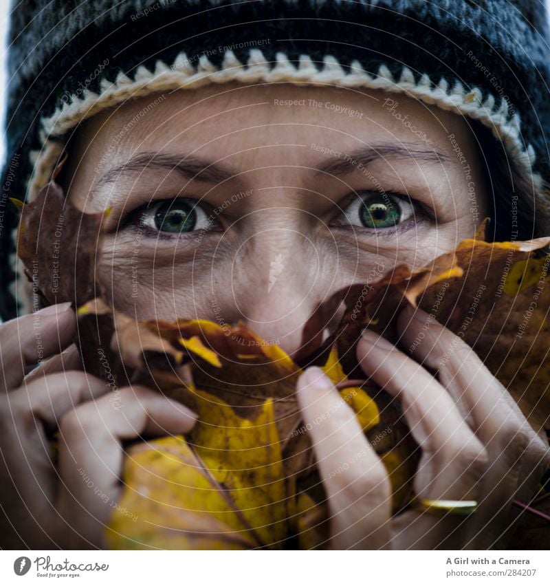 c'est moi eating leaves Mensch feminin Frau Erwachsene Leben Auge 1 30-45 Jahre festhalten Geruch mehrfarbig Herbstlaub Wollmütze lustig lachen Freude Farbfoto