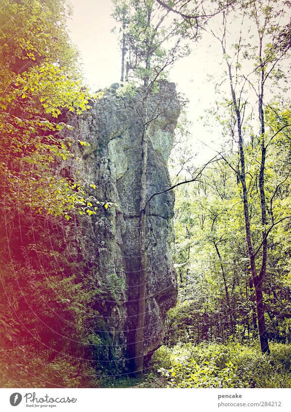 gefangen in plastik | zelluloid valley Filmindustrie Video Natur Landschaft Sommer Schlucht Vergangenheit Vergänglichkeit Filmmaterial Zelluloid Überbelichtung