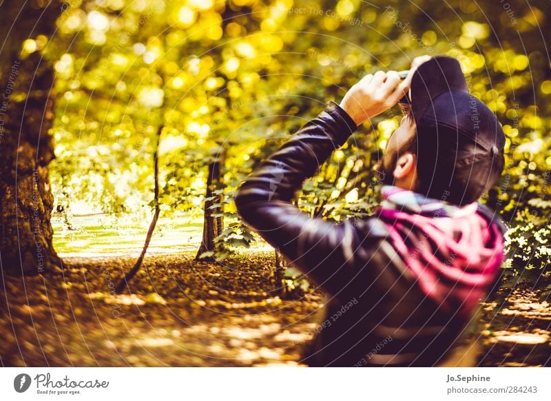 hold on to those golden times Lifestyle Stil Freizeit & Hobby Fotografieren Mensch maskulin Junger Mann Jugendliche Erwachsene 1 18-30 Jahre Umwelt Natur Wald