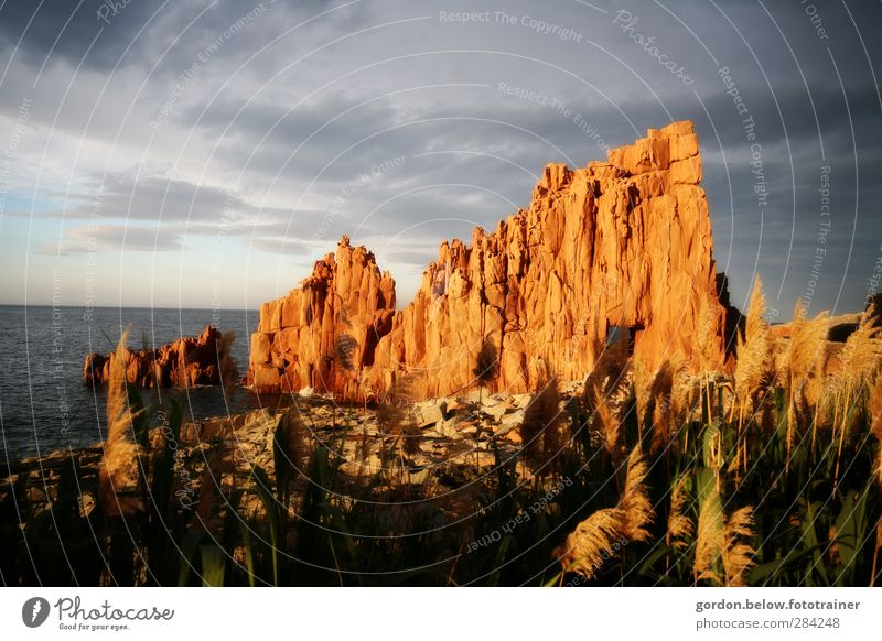 red rock Zufriedenheit Erholung Tourismus Sommer Sommerurlaub Meer Natur Landschaft Wasser Himmel Sonnenaufgang Sonnenuntergang Sonnenlicht Insel Sardinien