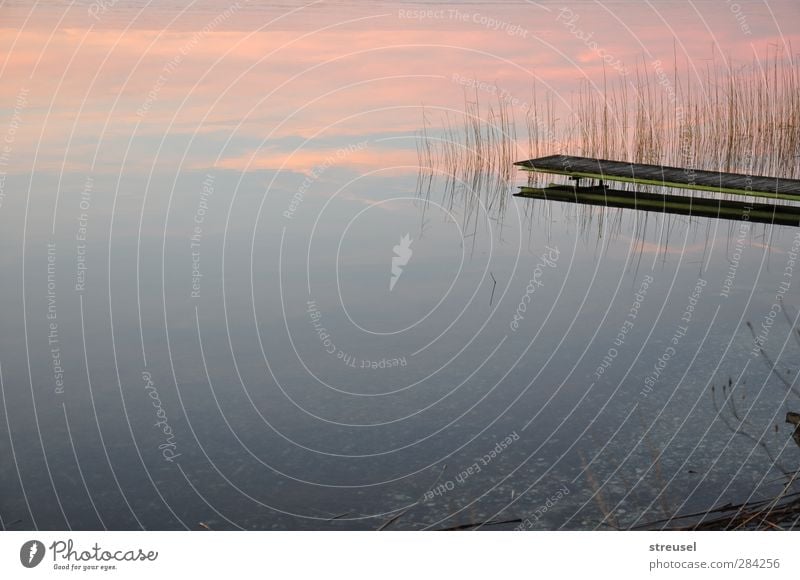 noch nicht Winter Umwelt Natur Landschaft Urelemente Wasser Wolken Horizont Sonnenaufgang Sonnenuntergang Herbst Schönes Wetter Seeufer Waginger See rosa