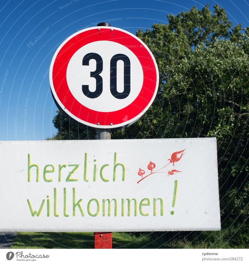 Mit 30 wird alles anders? Lifestyle Leben Umwelt Natur Wolkenloser Himmel Baum Schriftzeichen Schilder & Markierungen Hinweisschild Warnschild Verkehrszeichen