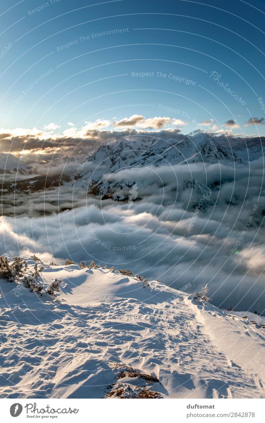 on the edge Abenteuer Winter Schnee Winterurlaub Berge u. Gebirge wandern Wintersport Snowboard Skipiste Natur Landschaft Urelemente Klimawandel Schönes Wetter