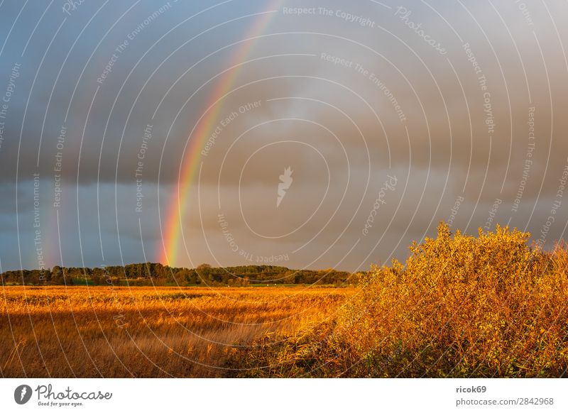 Landschaft auf der Insel Moen in Dänemark Erholung Ferien & Urlaub & Reisen Tourismus Natur Wolken Herbst Baum Wiese Feld Wald blau Idylle Umwelt Regenbogen