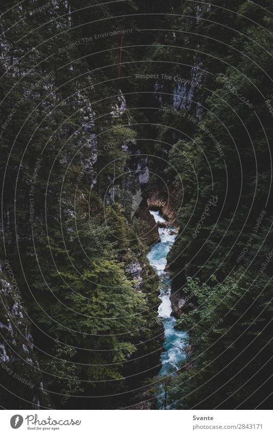 Kalter Fluss im Wald Ferien & Urlaub & Reisen Tourismus Ausflug Abenteuer Berge u. Gebirge wandern Natur Landschaft Urelemente Wasser Frühling Alpen Schlucht