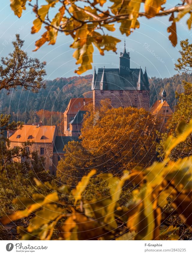 Harz Wernigerode Deutschland Dorf Kleinstadt Stadtrand Kirche Dom Palast Burg oder Schloss Ruine Park Turm Bauwerk Gebäude Architektur Mauer Wand Fassade Kamin