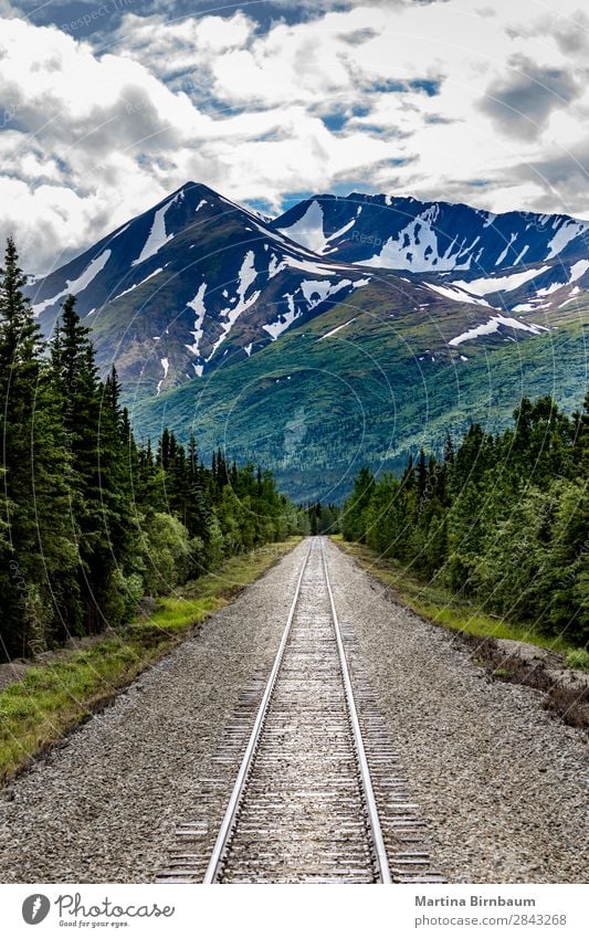 Railroad to Denali National Park, Alaska Ferien & Urlaub & Reisen Tourismus Abenteuer Freiheit Berge u. Gebirge Natur Landschaft Himmel Gipfel