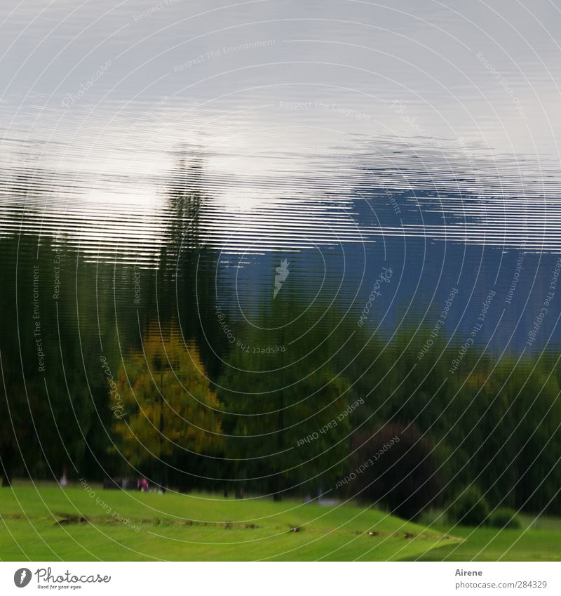 andersrum betrachtet Natur Landschaft Luft Wasser Himmel Herbst Baum Alpen Berge u. Gebirge Küste Seeufer Linie Streifen natürlich blau grün Zufriedenheit