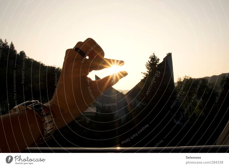 ein Sommer zum festhalten Ferien & Urlaub & Reisen Ferne Freiheit Mensch Hand Finger 1 Umwelt Natur Wolkenloser Himmel Horizont Sonne Schönes Wetter Pflanze