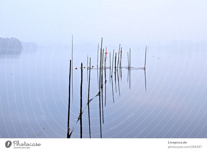 grau wie sau Arbeitsplatz Landwirtschaft Forstwirtschaft Natur Landschaft Wasser Himmel schlechtes Wetter Nebel Pflanze Baum Küste Seeufer Holz ruhig Stil