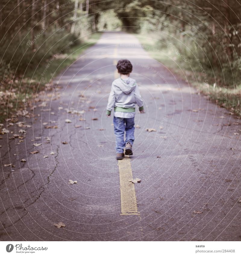 seinen weg gehen maskulin Junge Kindheit 1 Mensch 3-8 Jahre Natur Herbst Schönes Wetter Blatt Wald Straße Jeanshose Pullover brünett authentisch gelb grau grün