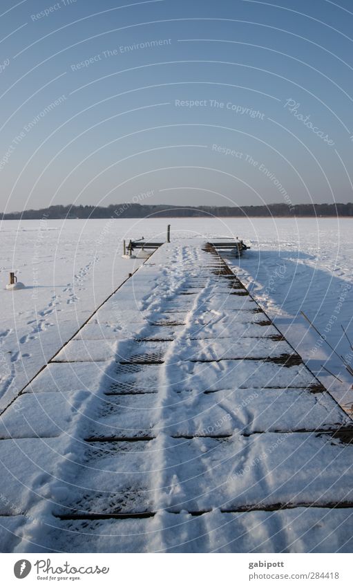 gradewegs in den Winter Sinnesorgane Erholung ruhig Meditation Ferien & Urlaub & Reisen Ferne Winterurlaub kalt blau Optimismus Kraft Sehnsucht Fernweh Hoffnung