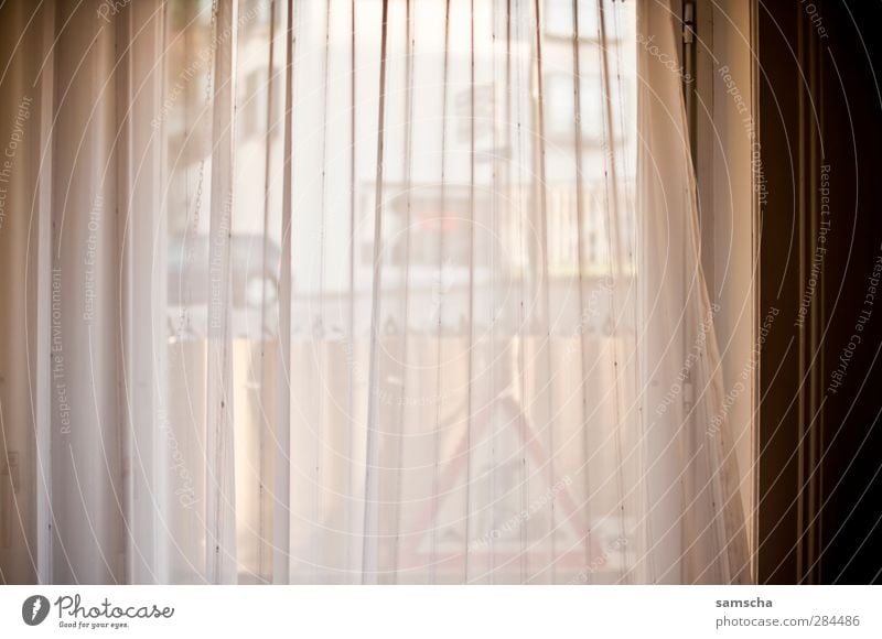 Fenster zur Strasse Häusliches Leben Wohnung Wohnzimmer Stadt Straße dunkel Vorhang Fensterblick Schleier Blick Blick nach vorn Außenaufnahme Innenaufnahme