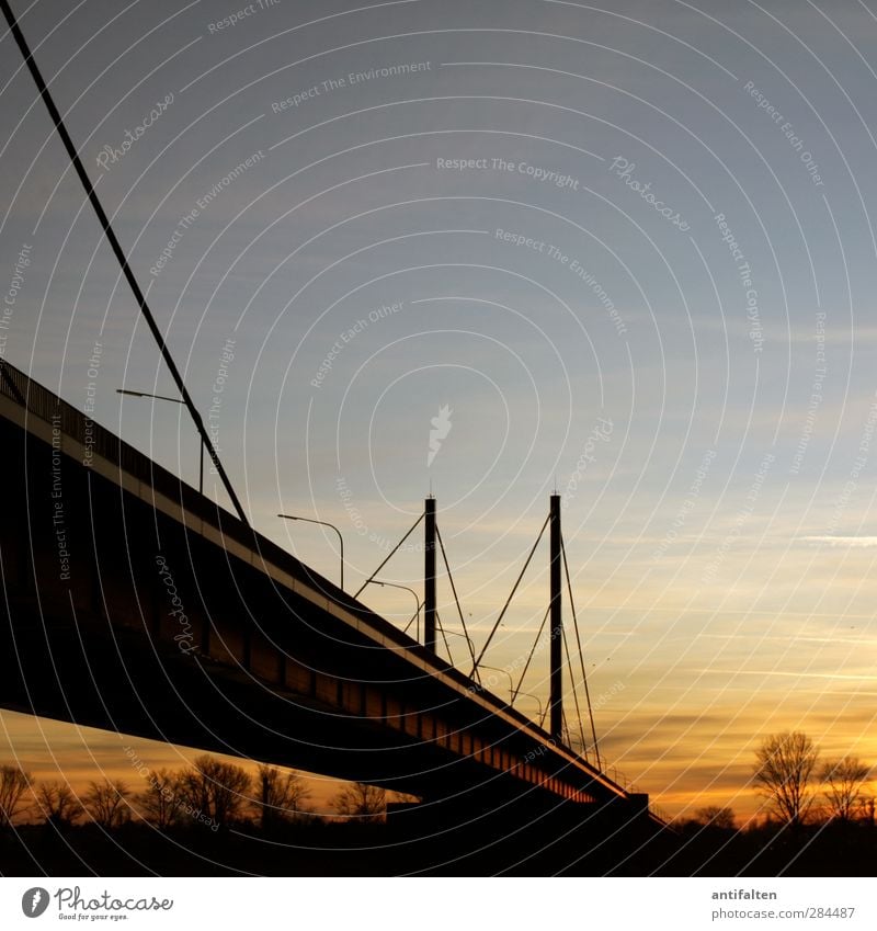 150 Theodor-Heuss-Brücke Natur Himmel Wolken Nachthimmel Sonnenaufgang Sonnenuntergang Herbst Winter Schönes Wetter Baum Rheinpromenade Flussufer Rheinwiesen