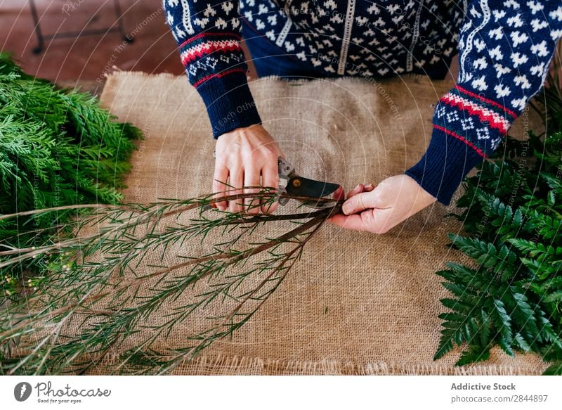 Getreideperson beim Schneiden von Zweigen Mensch Pflanze Ast Dekoration & Verzierung grün Jahreszeiten Haufen Leinen Stoff Hand Freizeit & Hobby Blumenstrauß