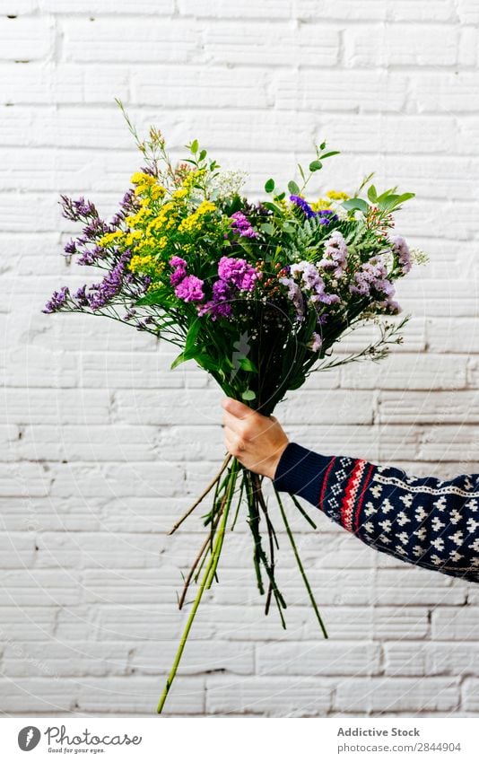 Ernte Hand haltend Blumenstrauß schön Natur geblümt Blumenhändler Überstrahlung Pflanze Zusammensetzung Mensch Haufen Dekor Freizeit & Hobby Beruf frisch Stil