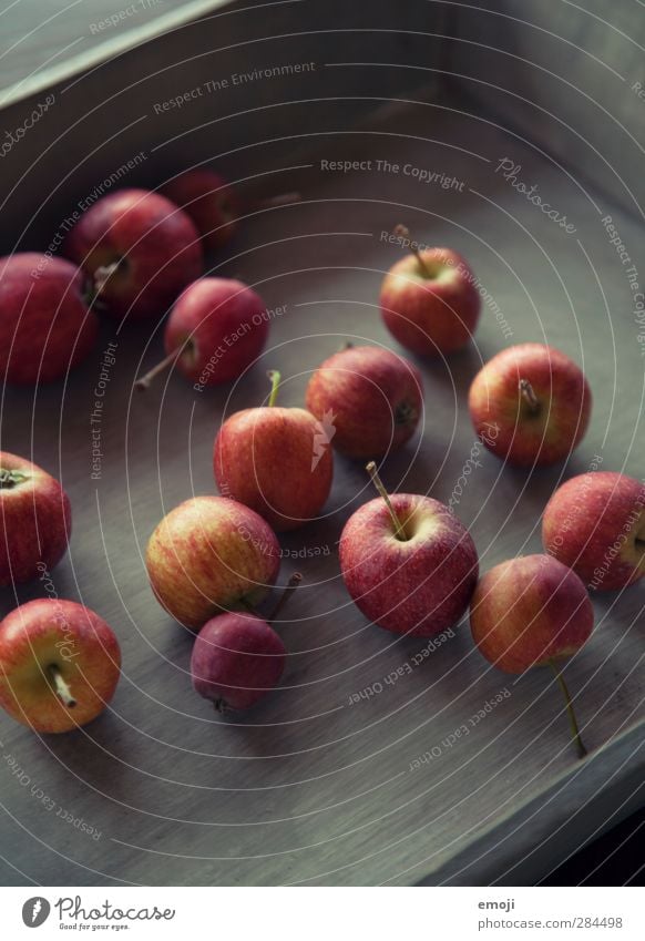 Äpfelchen Frucht Apfel Ernährung Bioprodukte Vegetarische Ernährung Diät Tablett frisch Gesundheit lecker Farbfoto Innenaufnahme Nahaufnahme Menschenleer Tag