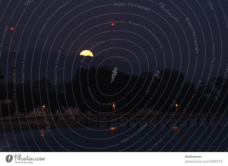 Vollmond-Aufgang Natur Landschaft Himmel Mond Kugel dunkel hell gold schwarz geheimnisvoll Surrealismus Mond- glühen satt steigend Luna nachtaktiv himmlisch