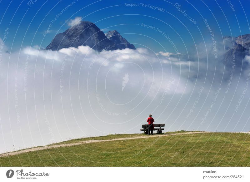 heiter bis wolkig feminin Frau Erwachsene 1 Mensch Landschaft Himmel Wolken Horizont Herbst Schönes Wetter schlechtes Wetter Nebel Gras Wiese Felsen