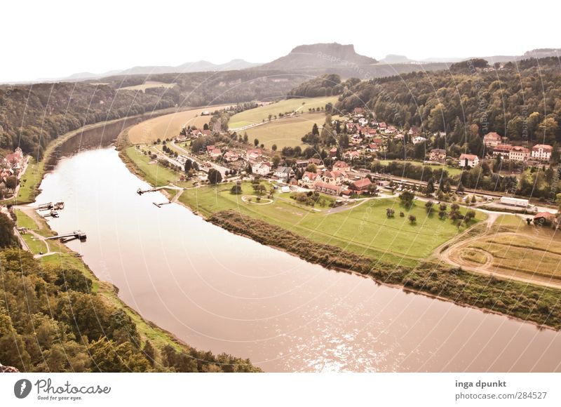 Elbtal Umwelt Natur Landschaft Pflanze Sommer Schönes Wetter Wiese Hügel Berge u. Gebirge Flussufer Sächsische Schweiz Elbe Sachsen Bundesadler Elbtalaue