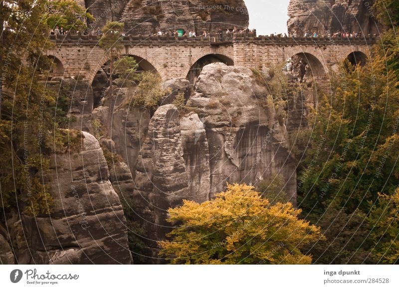 Basteibrücke Umwelt Natur Landschaft Herbst Pflanze Baum Felsen Berge u. Gebirge Sächsische Schweiz basteibrücke Bad Schandau Sachsen Tourismus Deutschland