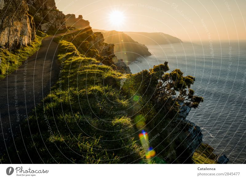 Die letzten Sonnenstrahlen  erleuchten den Pfad an der Klippe Meer Wellen wandern Natur Landschaft Urelemente Erde Wasser Wolkenloser Himmel Horizont