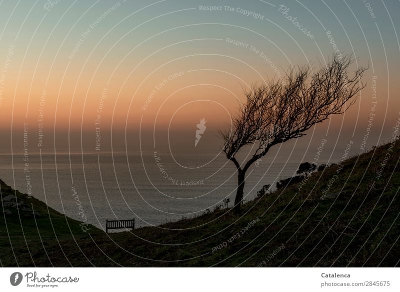 Ein Sitzplatz Meer Natur Landschaft Urelemente Wasser Wolkenloser Himmel Horizont Winter Schönes Wetter Pflanze Baum Sträucher Felsen Wellen Küste Bank Parkbank