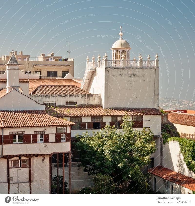 Bauwerke in La Orotava, Teneriffa Ferien & Urlaub & Reisen Tourismus Haus Stadt Altstadt Architektur Fassade Balkon Fenster ästhetisch Kanaren Spanien