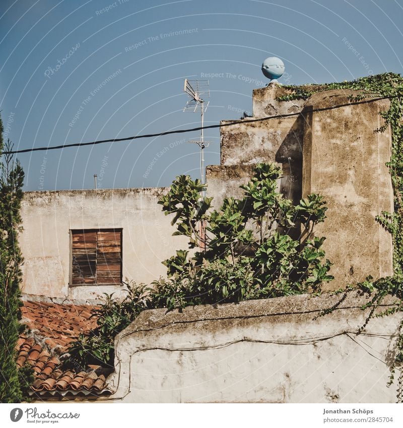 Fassade in La Orotava, Teneriffa Ferien & Urlaub & Reisen Tourismus Häusliches Leben Haus Stadt Altstadt Architektur Balkon Fenster ästhetisch Kanaren Spanien