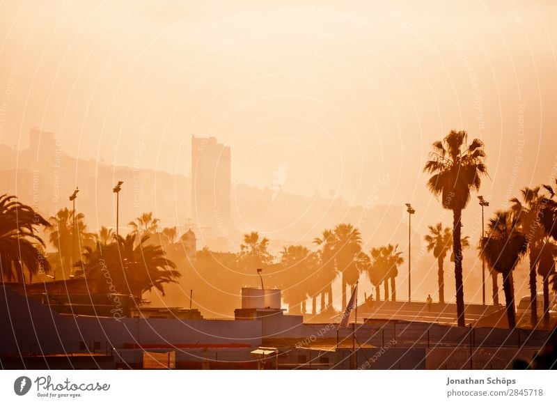 Stadtansicht Puerto de la Cruz, Teneriffa Palme Hochhaus Haus Kanaren Spanien Süden Hafenstadt Stadtzentrum Smog Nebel Wärme Sonne heiß trocken Klimawandel