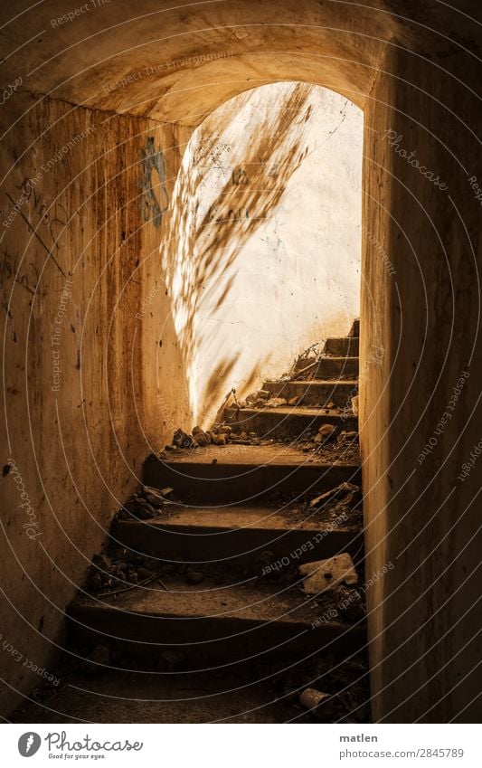 Zum Licht empor... Menschenleer Industrieanlage Ruine Mauer Wand Treppe alt dreckig dunkel historisch kaputt braun gelb weiß Schattenspiel Militär Fluchtweg