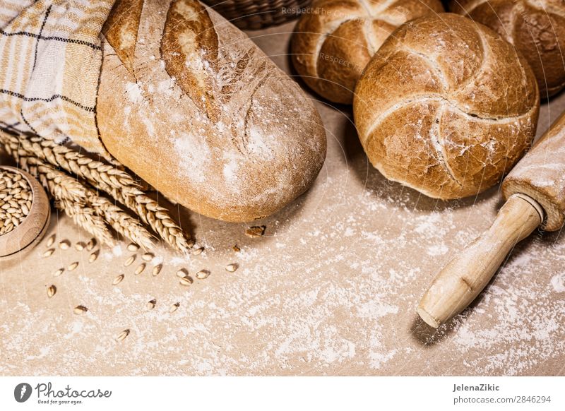 Frisches Brot und Weizen auf rustikalem Hintergrund Lebensmittel Teigwaren Backwaren Ernährung Essen Frühstück Mittagessen Abendessen Büffet Brunch Bioprodukte