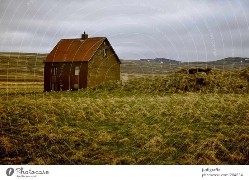 Island Umwelt Natur Landschaft Gras Hügel Haus Einfamilienhaus Gebäude Einsamkeit stagnierend Häusliches Leben Farbfoto Außenaufnahme Menschenleer Tag