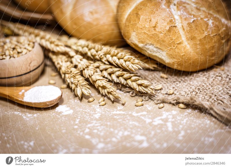 Frisch gebackenes Brot, Weizen und Mehl auf rustikalem Hintergrund Lebensmittel Teigwaren Backwaren Ernährung Essen Frühstück Mittagessen Abendessen Büffet