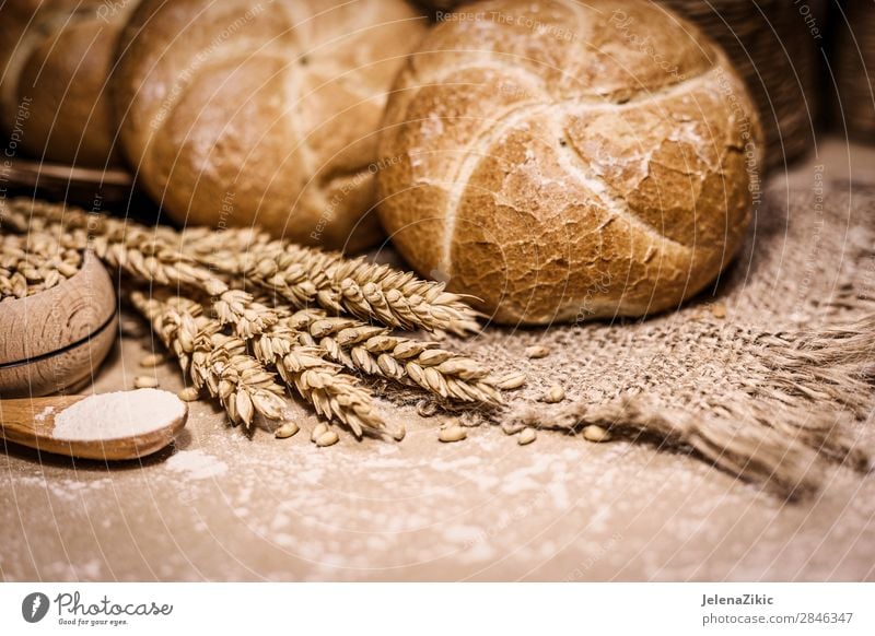 Frisch gebackenes Brot, Weizen und Mehl auf rustikalem Hintergrund Lebensmittel Teigwaren Backwaren Ernährung Essen Frühstück Mittagessen Abendessen Büffet